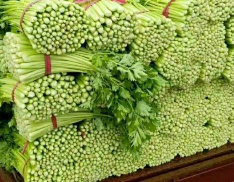 西芹大量上市，有需要的朋友可以联系我，芹菜价格美丽