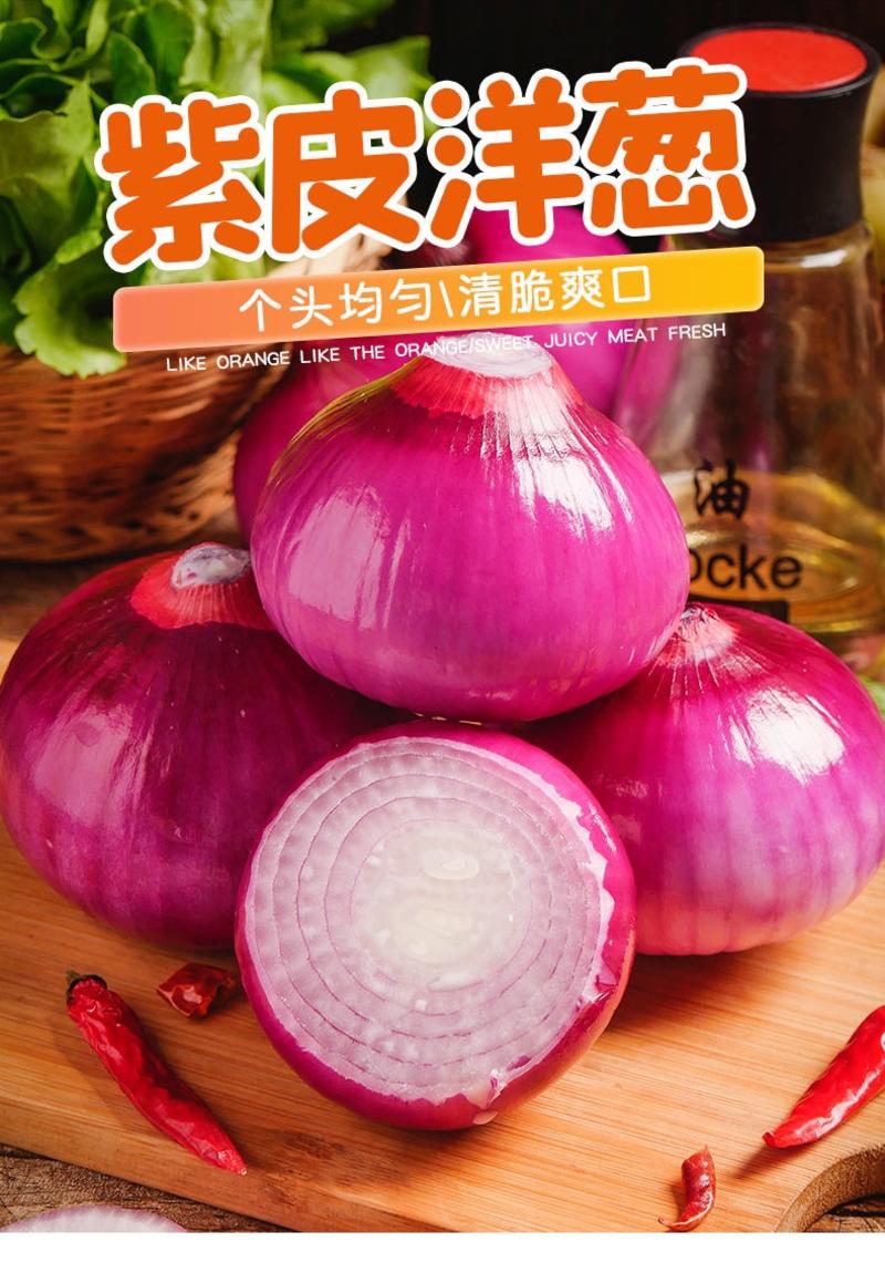 【包邮-20斤紫皮洋葱】热销10斤20斤新鲜自种紫皮洋葱