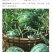 大量元素高氮平衡高钾水溶肥瓜果蔬菜通用型氮磷钾肥料