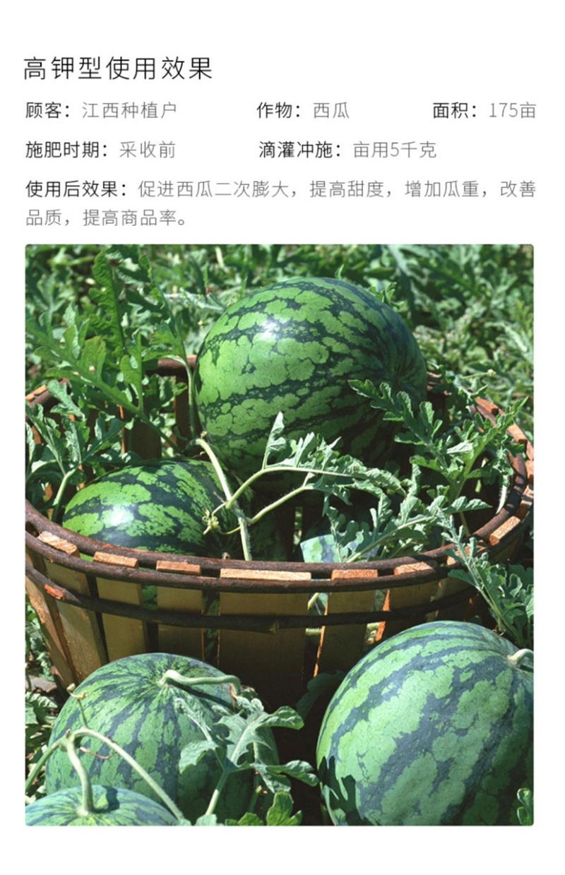 大量元素高氮平衡高钾水溶肥瓜果蔬菜通用型氮磷钾肥料
