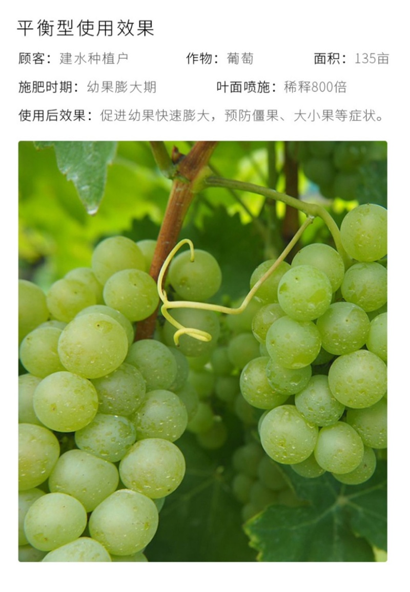大量元素高氮平衡高钾水溶肥瓜果蔬菜通用型氮磷钾肥料
