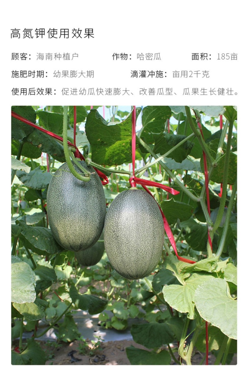 大量元素高氮平衡高钾水溶肥瓜果蔬菜通用型氮磷钾肥料