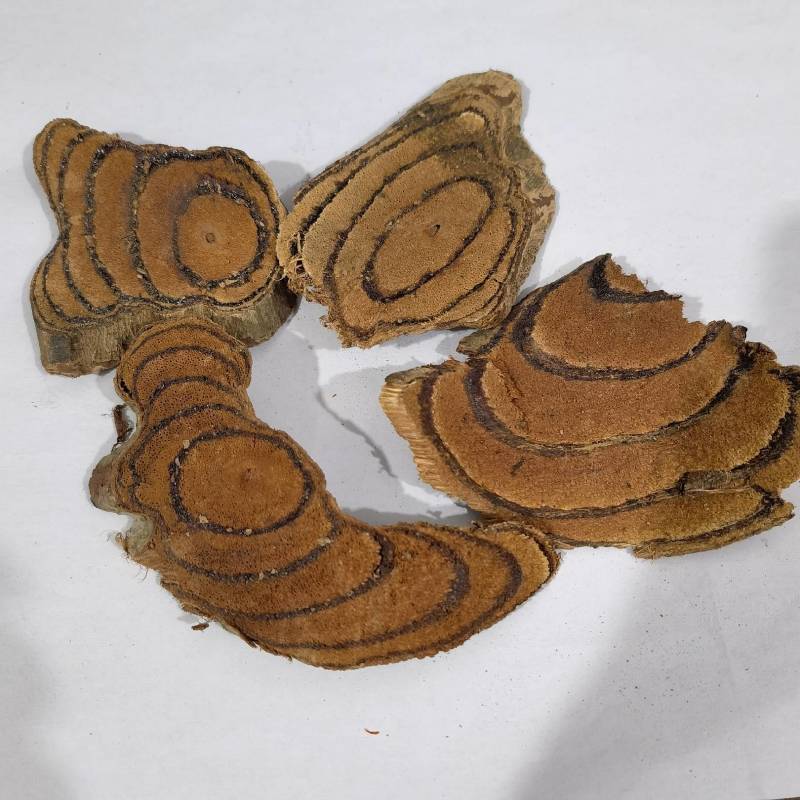 鸡血藤好统货颜色好看良心经营品种齐全实图拍摄