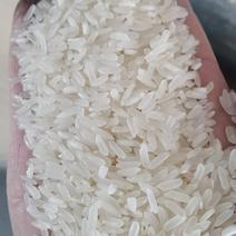 丰良优大米，米质优，口感好，厂家直销，欢迎订购