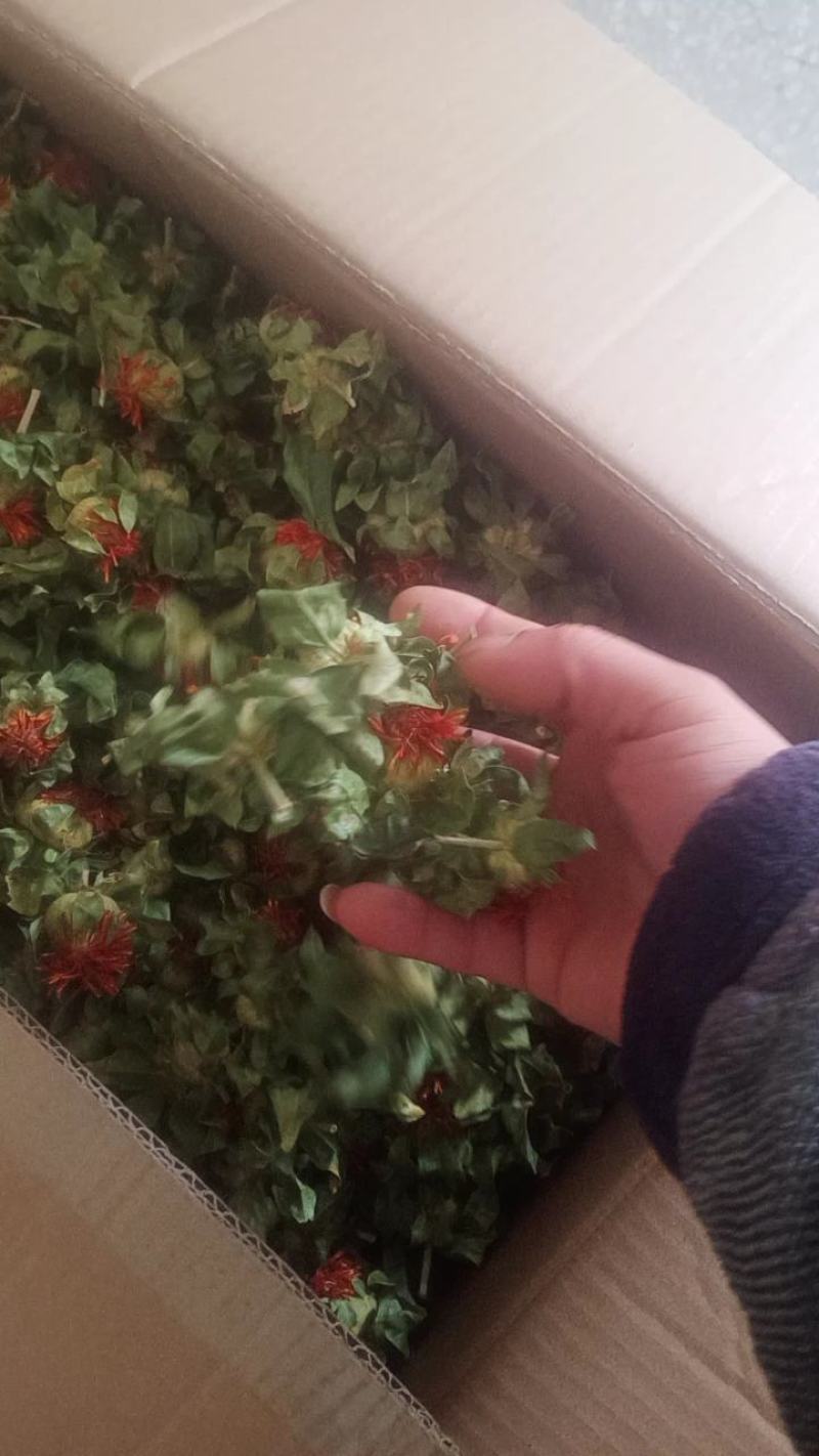 产地自产自销红花头（橙菠萝）