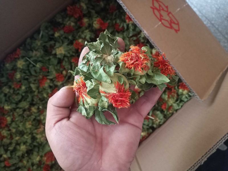 产地自产自销红花头（橙菠萝）