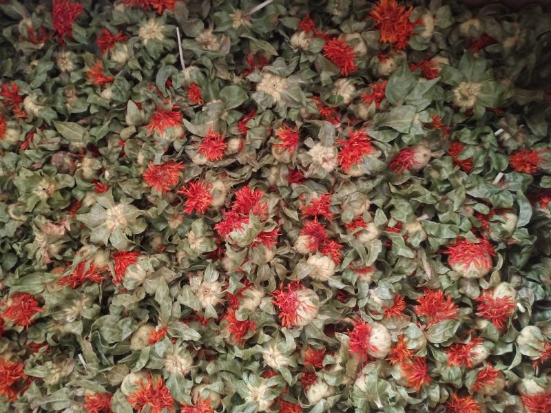 产地自产自销红花头（橙菠萝）