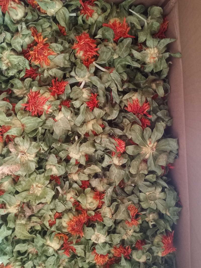 产地自产自销红花头（橙菠萝）