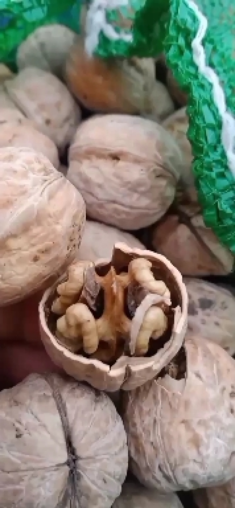 汾阳本地核桃，各种品种都有，礼品，晋龙，香玲，辽核，老核