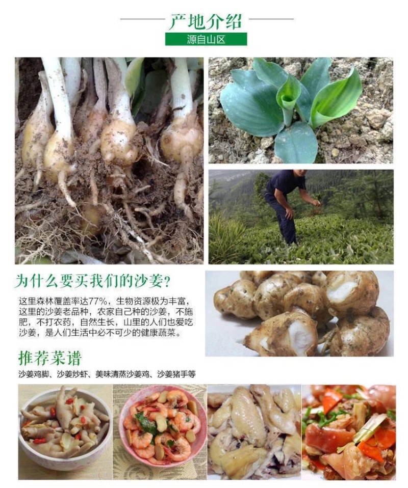 【包邮-20斤沙姜】热销10斤20斤正宗广东新鲜沙姜
