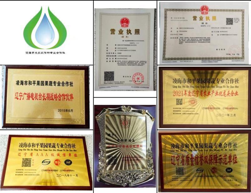 青/绿/紫葡萄-深加工原料-罐头/果汁/果脯/果酒-原料