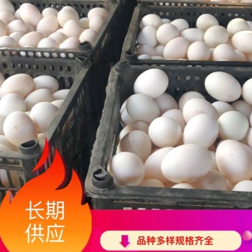 【精品】优选咸鸭蛋烘培用品送礼优选质优价廉