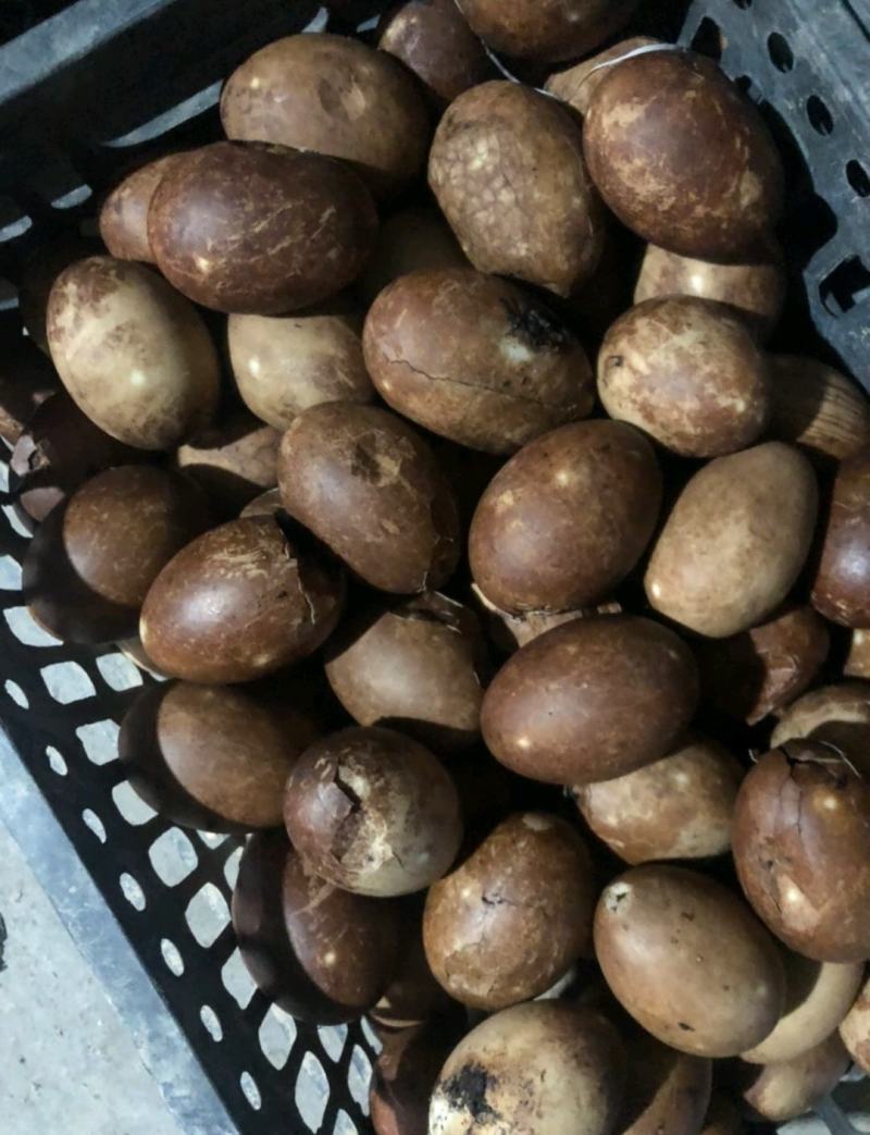 【精品】优选咸鸭蛋烘培用品送礼优选质优价廉