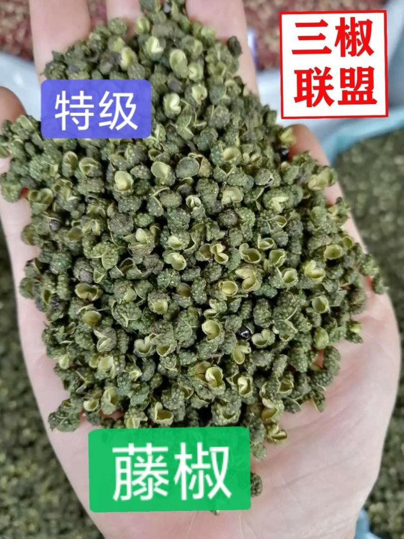 四川青花椒特香特麻绿麻椒粒青麻干藤椒，新货上市。产地直销