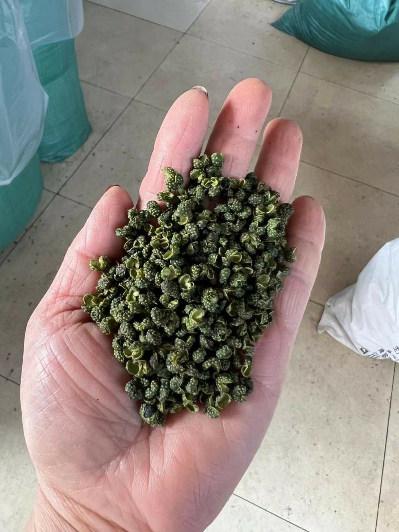 四川青花椒特香特麻绿麻椒粒青麻干藤椒，新货上市。产地直销