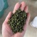 四川青花椒特香特麻绿麻椒粒青麻干藤椒，新货上市。产地直销