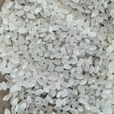 一级珍珠米。量大从优