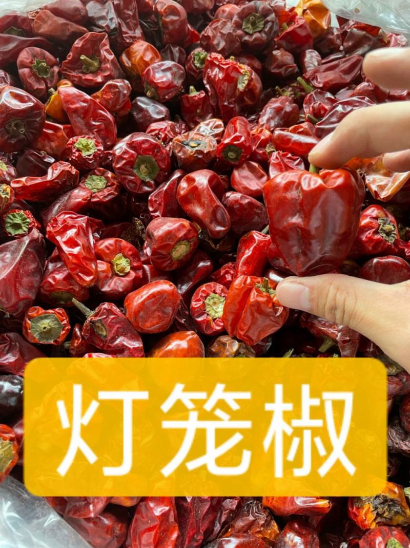 中辣超香贵州灯笼辣椒灯笼椒，新货上市，香而不辣的干辣椒，