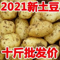 【-10斤土豆】热销5斤10斤黄皮马铃薯土豆