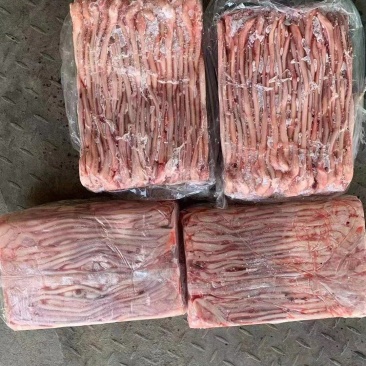 精品猪鞭，10公斤400条左右