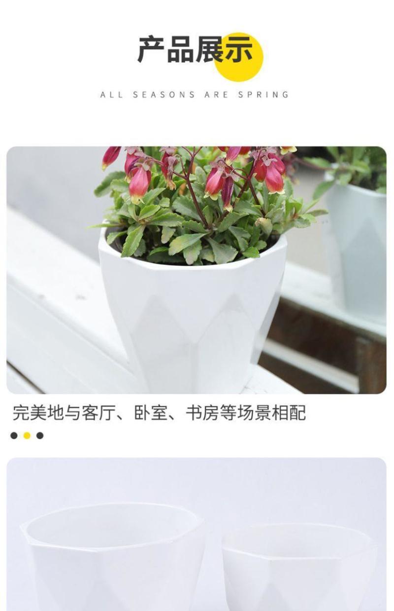 整件批多肉加厚盆透气创意简约绿萝批发种植控根盆栽仿瓷塑料