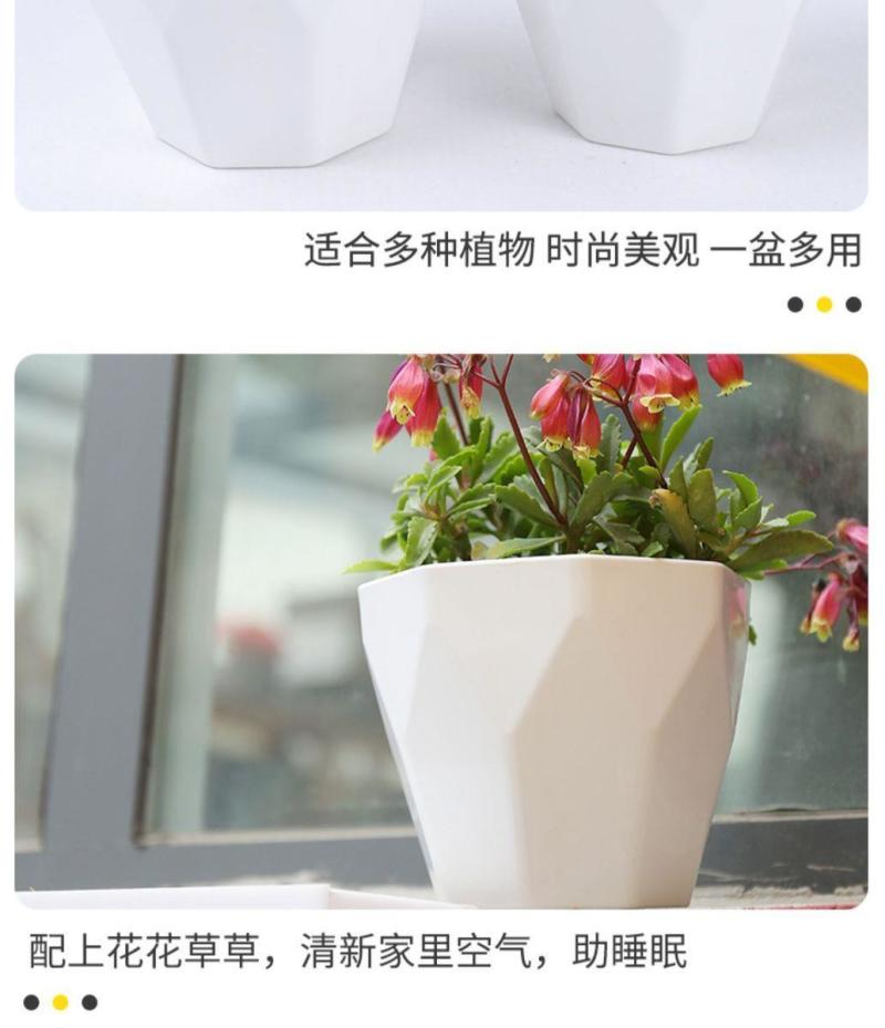 整件批多肉加厚盆透气创意简约绿萝批发种植控根盆栽仿瓷塑料