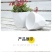 整件批多肉加厚盆透气创意简约绿萝批发种植控根盆栽仿瓷塑料