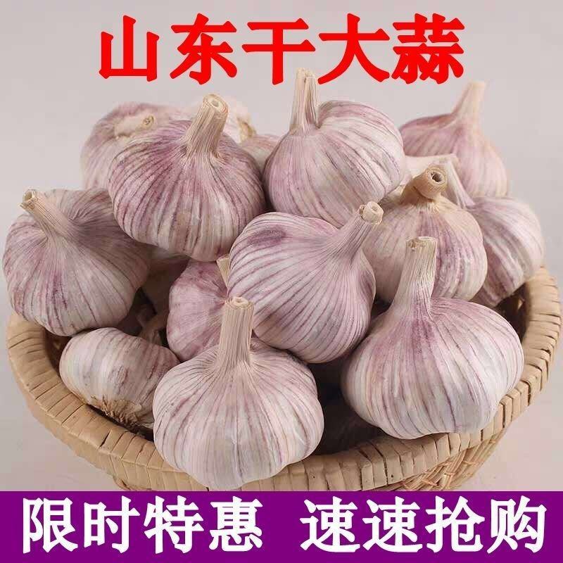 【包邮-5斤紫皮大蒜】热销5斤10斤大蒜头紫皮大蒜