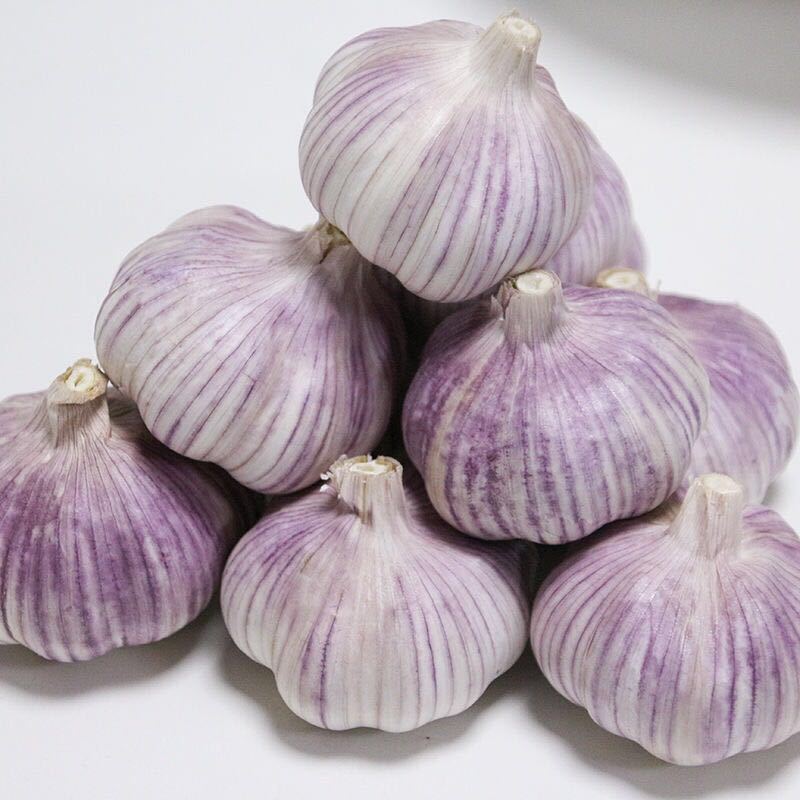 【包邮-5斤紫皮大蒜】热销5斤10斤大蒜头紫皮大蒜