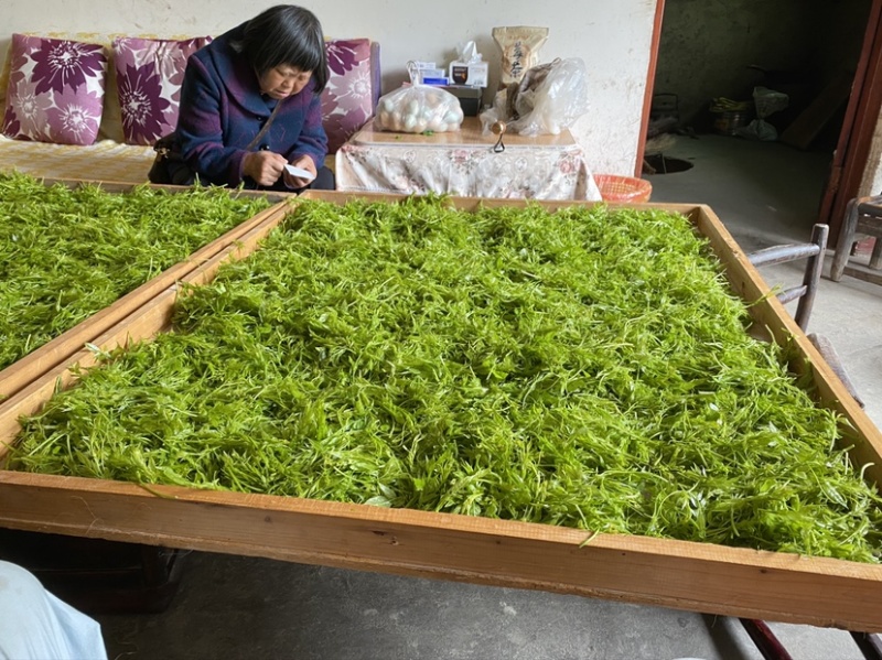 张家界莓茶嫩芽龙须藤茶明前