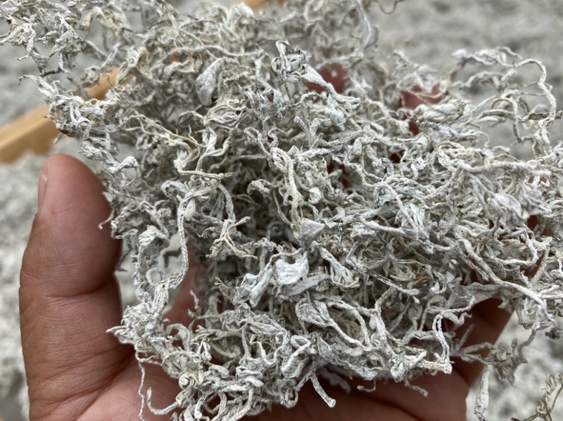张家界莓茶嫩芽龙须藤茶明前