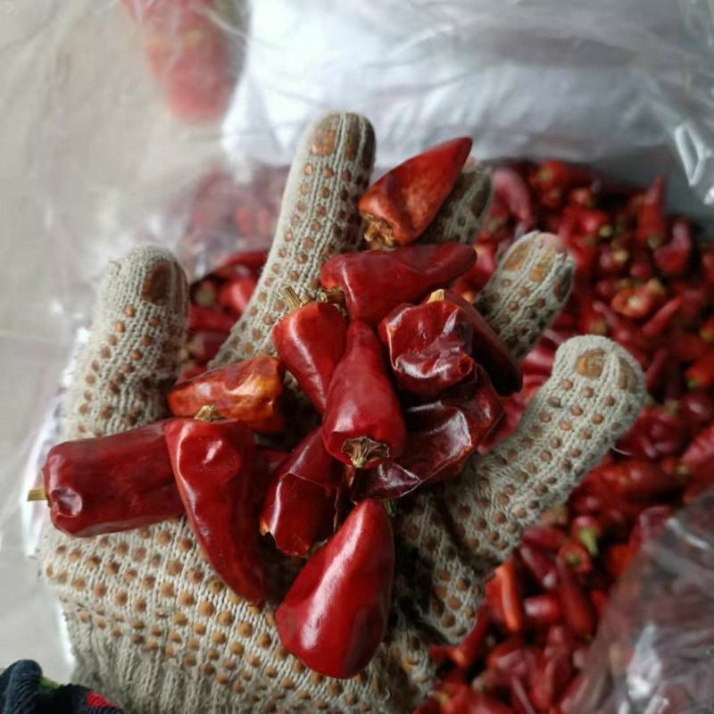 贵州子弹头，辣椒，提色增香，干度好，产地直销