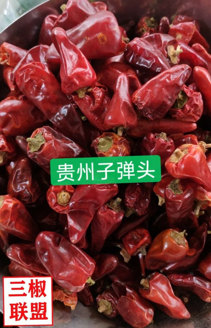 贵州子弹头，辣椒，提色增香，干度好，产地直销