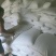 丹参山东选货丹参今年新货颜色好看产地直销一手货源