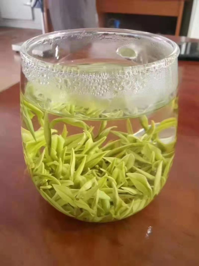 安吉白茶2026新茶开售安吉白茶原产地安吉白茶