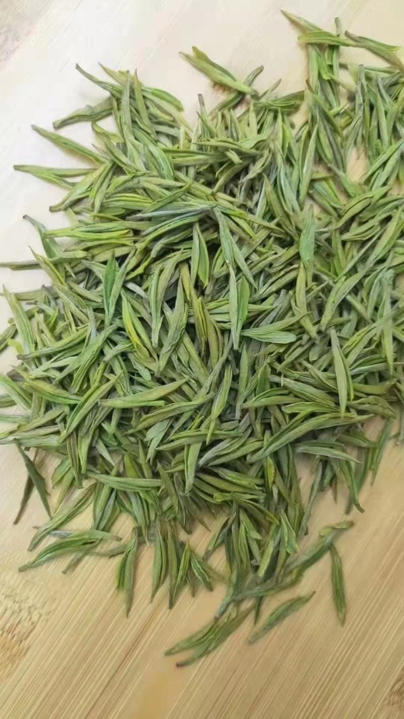 安吉白茶2026新茶开售安吉白茶原产地安吉白茶