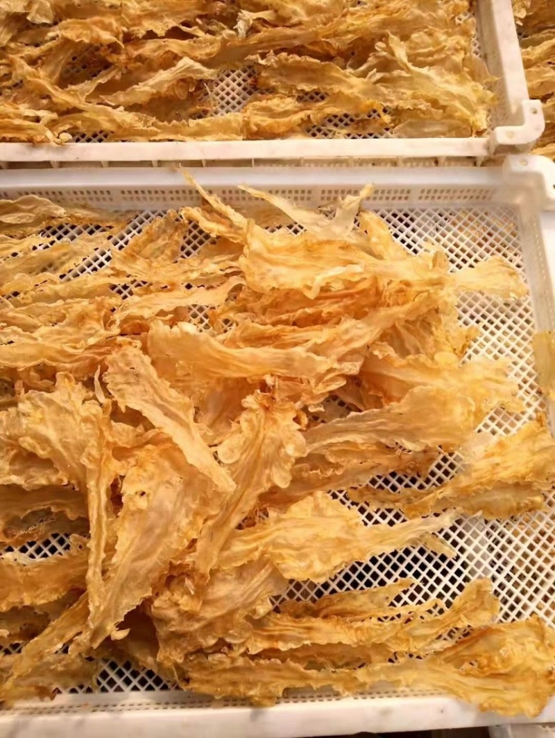 【精品】产地鳕鱼胶，欢迎实地看货，大量供应