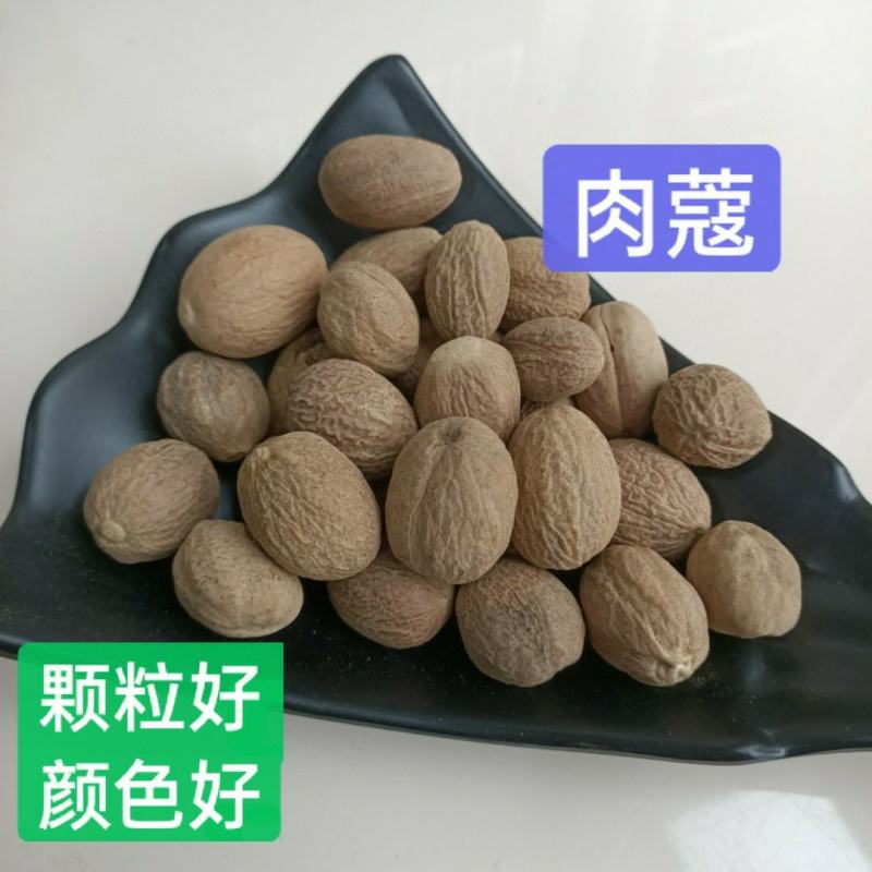 川果肉蔻，颗粒均匀，颜色好，产地直销，大量有货