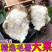 【包邮-20斤毛薯】热销10斤20斤新鲜农家毛薯