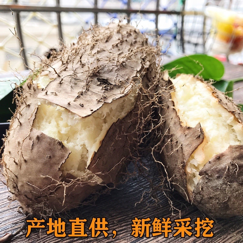 【包邮-20斤毛薯】热销10斤20斤新鲜农家毛薯
