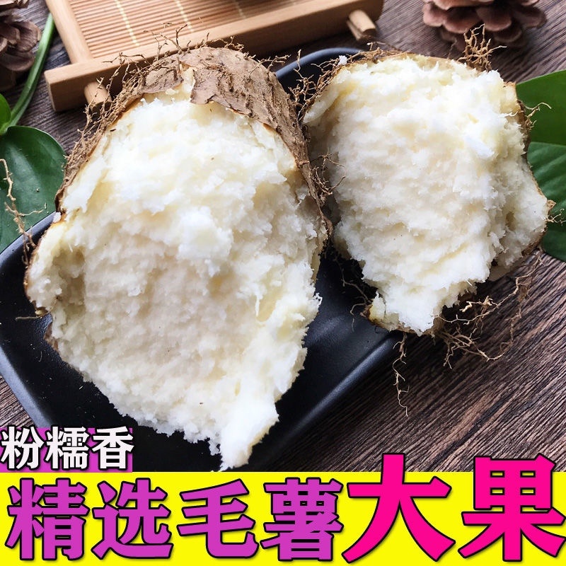 【包邮-20斤毛薯】热销10斤20斤新鲜农家毛薯