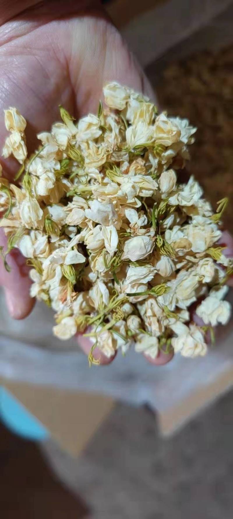 干茉莉花新货包邮无硫茉莉花茶茉莉干花常年批发零售