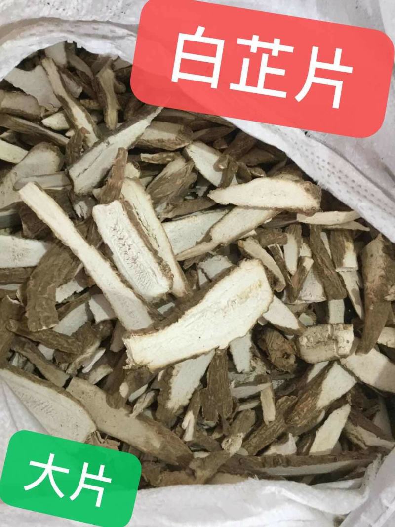 本色白芷片，大片，本色货，能过检，产地直销