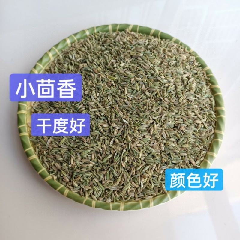 精选小茴香，颗粒饱满，颜色好。产地直销，