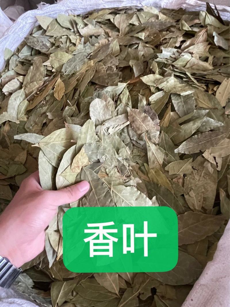 大料，香料，调料，香叶，片大，不碎，颜色清秀，欢迎咨询哦