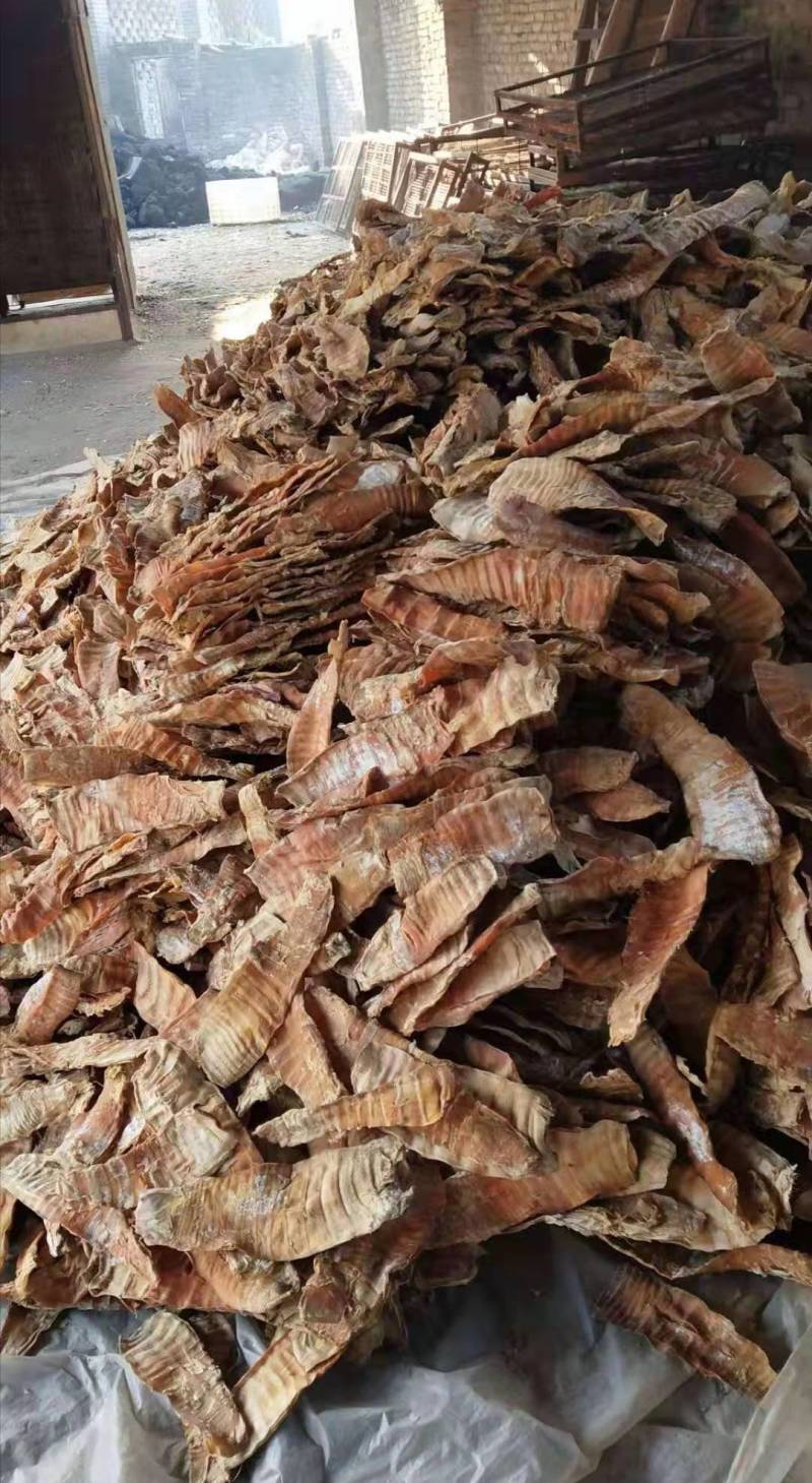 烤笋干，嫩，泡发量多，采用野生压榨脆笋烘烤而成，本地烤嫩