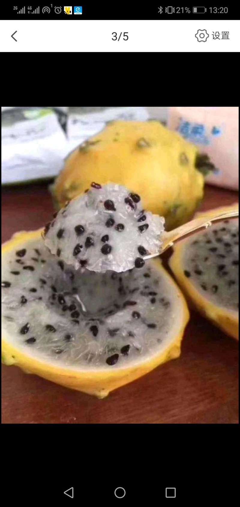 农场直销【现剪燕窝火龙果苗】