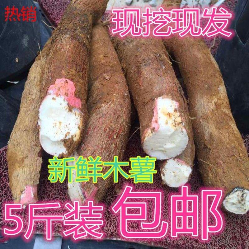 【包邮-10斤木薯】热销5斤10斤新鲜农家木薯