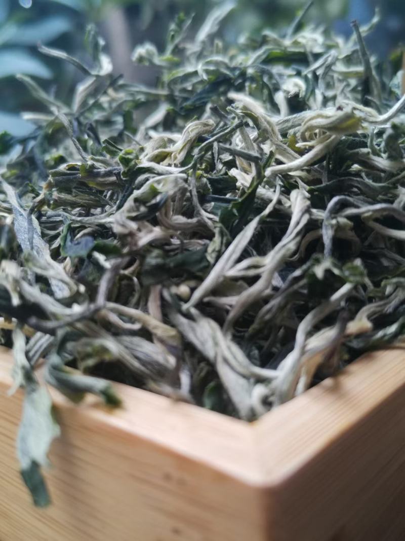 白号绿茶头春美丽的颜值+口感香甜