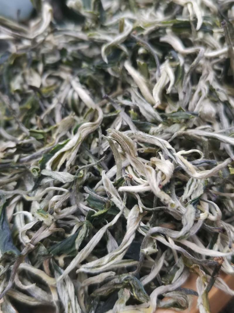 白号绿茶头春美丽的颜值+口感香甜
